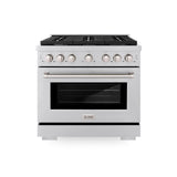 ZLINE 36 in. 5.2 cu. ft. Paramount Dual Fuel Range with Gas Cooktop and Electric Convection Oven in Stainless Steel with 6 Brass Burners (SDR-BR-36)