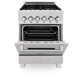 ZLINE 24 in. Professional Dual Fuel Range in DuraSnow Stainless Steel with Color Door Options (RAS-SN-24) [Color: Blue Gloss]