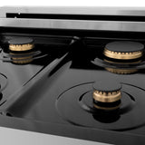 ZLINE 24 in. Professional Dual Fuel Range with Color Door Options (RA24) [Color: Stainless Steel with Brass Burners]