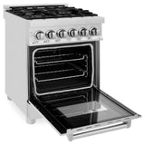 ZLINE 24 in. Professional Dual Fuel Range with Color Door Options (RA24) [Color: Stainless Steel]