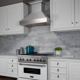 ZLINE DuraSnow Stainless Steel Range Hood with DuraSnow Shell (8654SN)