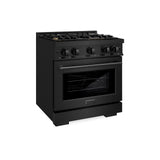 ZLINE 30 in. 4.2 cu. ft. Select Dual Fuel Range with Gas Cooktop and Electric Convection Oven in Black Stainless Steel with 4 Brass Burners (HDRB-BR-30)