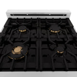 ZLINE 24 in. Professional Dual Fuel Range with Color Door Options (RA24) [Color: Stainless Steel with Brass Burners]