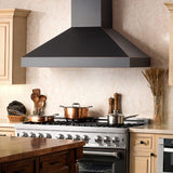 ZLINE Designer Series Wall Mount Range Hood (8667B)