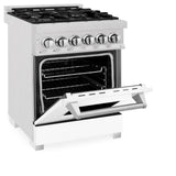 ZLINE 24 in. Professional Dual Fuel Range in DuraSnow Stainless Steel with Color Door Options (RAS-SN-24) [Color: Blue Matte]