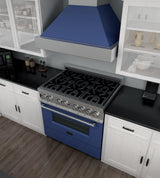 ZLINE 36 in. Professional Dual Fuel Range in DuraSnow Stainless Steel with Color Door Finishes (RAS-SN-36) [Color: Blue Matte]