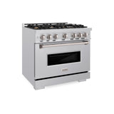 ZLINE 36 in. 5.2 cu. ft. Classic Gas Range with Convection Gas Oven in Stainless Steel with 6 Brass Burners (CGR-BR-36)