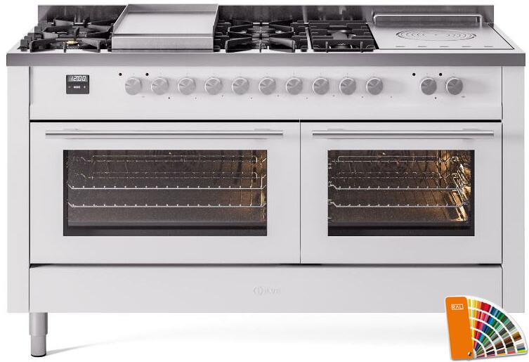 Professional Plus II 60 Inch Dual Fuel Natural Gas Freestanding Range in RAL Custom Color with Trim