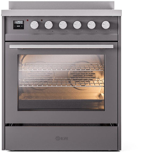 Professional Plus II 30 Inch Electric Freestanding Range in Matte Graphite with Trim