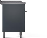 Professional Plus II 60 Inch Dual Fuel Natural Gas Freestanding Range in Blue Grey with Trim