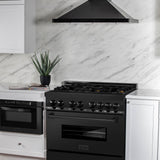 ZLINE 36 in. Black Stainless 4.6 cu.ft. 6 Gas Burner/Electric Oven Range (RAB-BR-36)