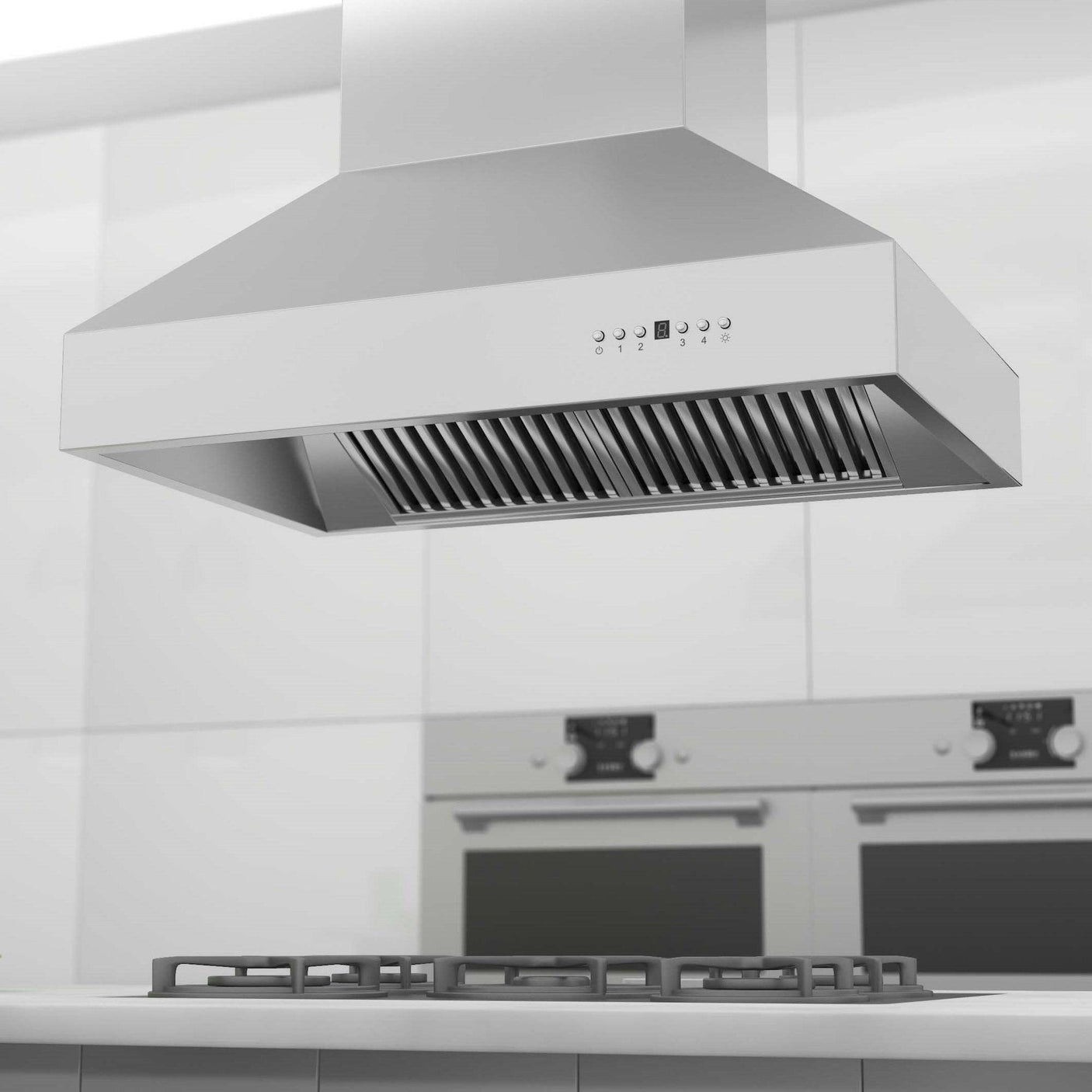 ZLINE Outdoor Approved Island Mount Range Hood in Stainless Steel (697i-304)