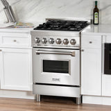 ZLINE 24 in. Professional Dual Fuel Range with Color Door Options (RA24) [Color: Stainless Steel]