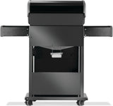 Rogue 425 Gas Grill , Natural Gas, Black