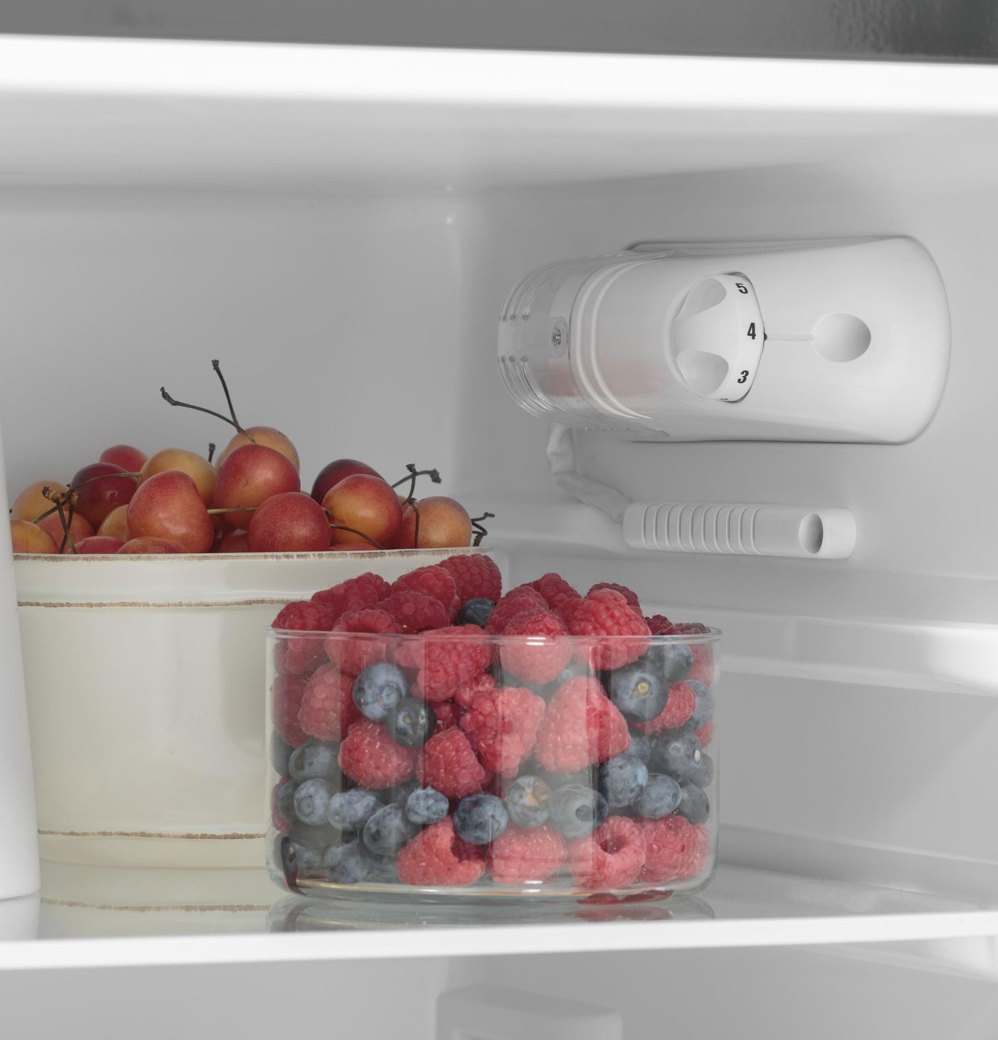 GE® 9.8 Cu. Ft. 12 Volt DC Power Top-Freezer Refrigerator