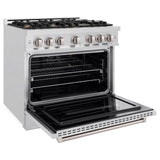 ZLINE 36 in. 5.2 cu. ft. Classic Gas Range with Convection Gas Oven in DuraSnow' Stainless Steel with 6 Brass Burners (CGRS-BR-36)