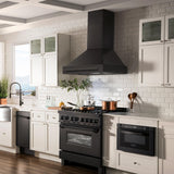 ZLINE Black Stainless Steel Range Hood with Black Stainless Steel Handle and Size Options(BS655-BS)