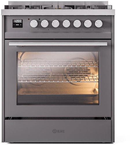 Professional Plus II 30 Inch Dual Fuel Natural Gas Freestanding Range in Matte Graphite with Trim