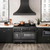 ZLINE 48 in. Black Stainless 6.0 cu. ft. 7 Gas Burner/Electric Oven Range (RAB-BR-48)