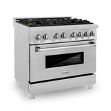 ZLINE 36 in. Professional Dual Fuel Range in DuraSnow Stainless Steel with Color Door Finishes (RAS-SN-36) [Color: Blue Gloss]