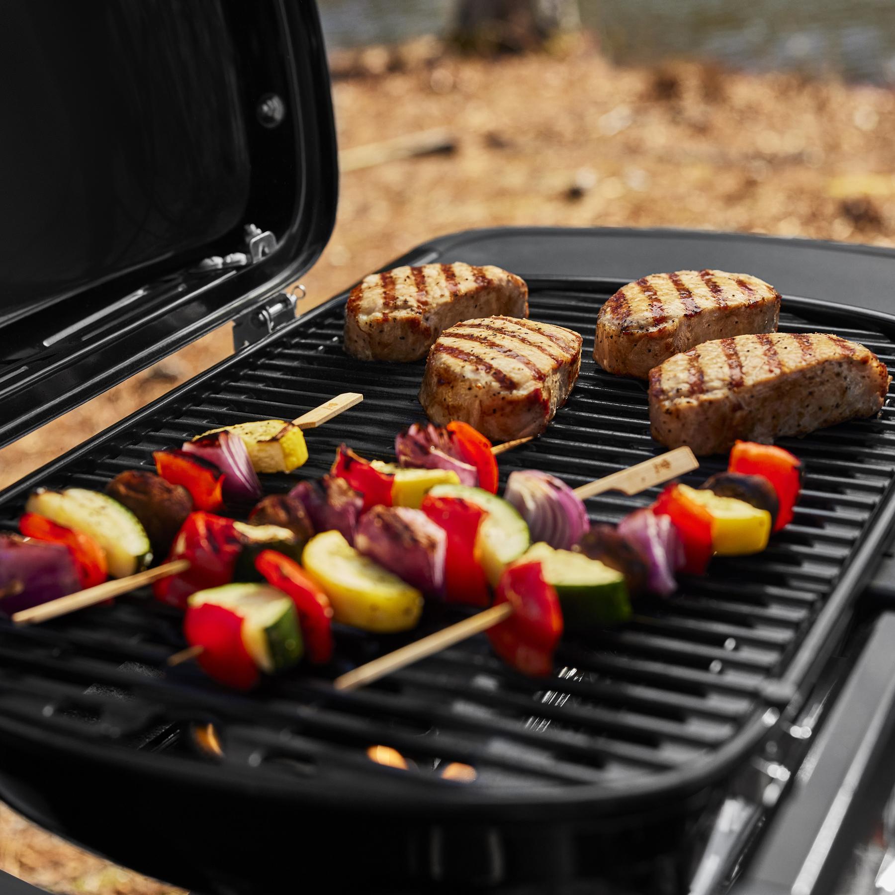 Grill compact best sale