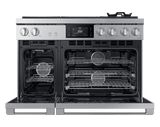 48" Dual-Fuel Steam Range, Silver Stainless, Natural Gas/Liquid Propane