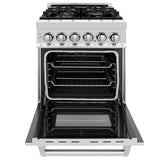 ZLINE 24 in. Professional Dual Fuel Range with Color Door Options (RA24) [Color: Blue Gloss]