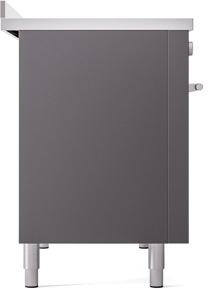 Professional Plus II 48 Inch Electric Freestanding Range in Matte Graphite with Trim