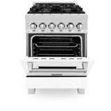 ZLINE 24 in. Professional Dual Fuel Range in DuraSnow Stainless Steel with Color Door Options (RAS-SN-24) [Color: Blue Gloss]