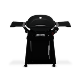 Q 2800N+ Gas Grill with Stand (Liquid Propane) - Charcoal Grey