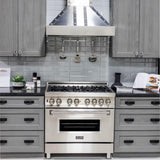 ZLINE Designer Series Wall Mount Range Hood in DuraSnow Stainless Steel (655-4SSSS)