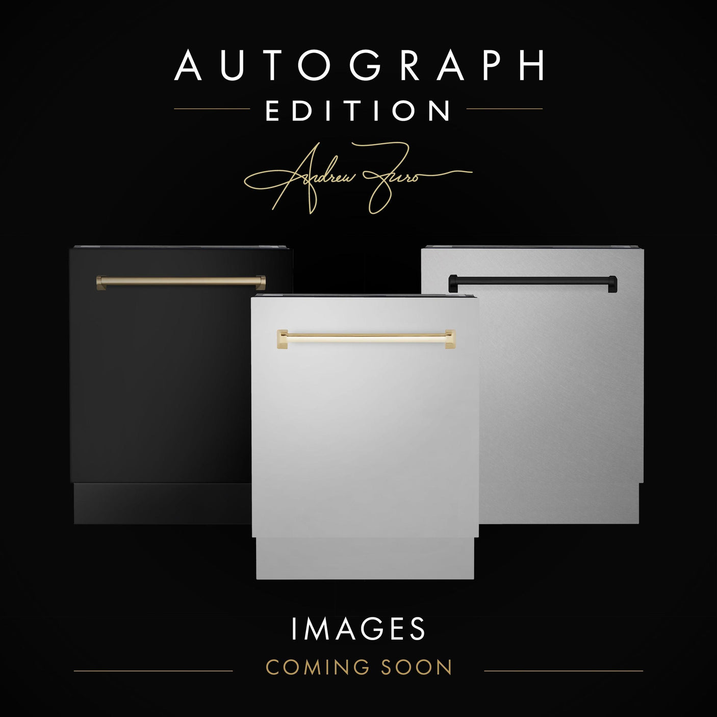 ZLINE 18 in. Autograph Edition Tallac Dishwasher Panel in Stainless Steel with Accent Handle (DPVZ-304-18) [Color: Gold]