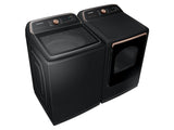 7.4 cu. ft. Smart Electric Dryer with Pet Care Dry and Steam Sanitize+ in Brushed Black