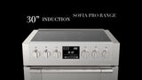 30" INDUCTION PRO RANGE