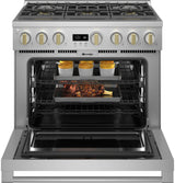 Monogram 36" Dual-Fuel Professional Range with 6 Burners