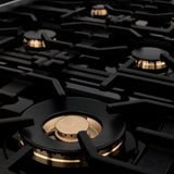 ZLINE 36 in. Porcelain Rangetop in DuraSnow Stainless Steel with 6 Gas Burners (RTS-36) Available with Brass Burners [Color: DuraSnow Stainless Steel with Brass Burners]