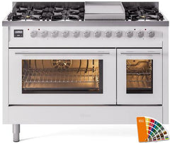 Professional Plus II 48 Inch Dual Fuel Natural Gas Freestanding Range in RAL Custom Color with Trim