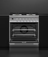 30" Series 9 Contemporary 4 Burner Dual Fuel Self-Cleaning Range