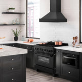 ZLINE Black Stainless Steel Range Hood with Black Stainless Steel Handle and Size Options(BS655-BS)