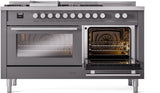 Professional Plus II 60 Inch Dual Fuel Natural Gas Freestanding Range in Matte Graphite with Trim