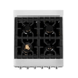 ZLINE 24 in. Professional Dual Fuel Range with Color Door Options (RA24) [Color: Stainless Steel with Brass Burners]