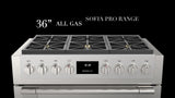 36" ALL GAS PRO RANGE