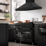 ZLINE Black Stainless Steel Range Hood with Black Stainless Steel Handle and Size Options(BS655-BS)