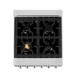 ZLINE 24 in. Professional Dual Fuel Range in DuraSnow Stainless Steel with Color Door Options (RAS-SN-24) [Color: DuraSnow With Brass Burners]