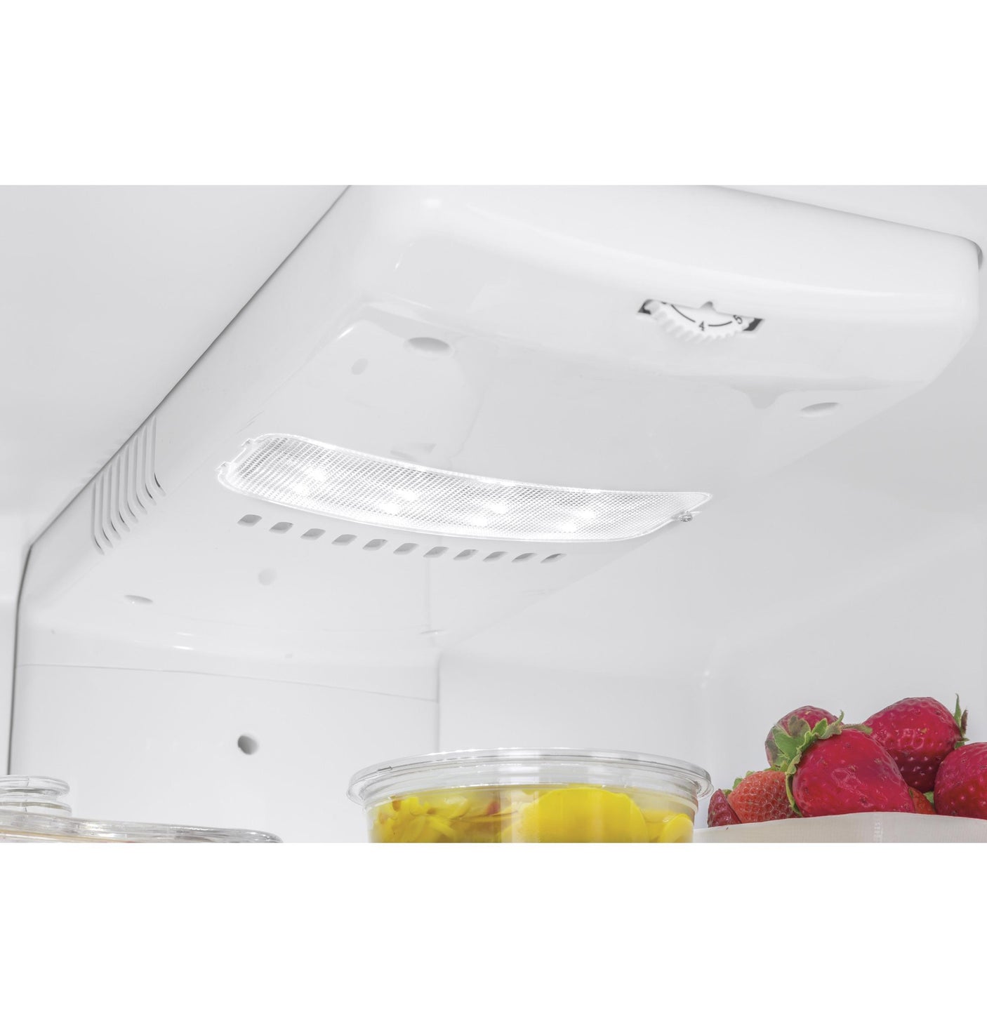 9.8 Cu. Ft. Top Freezer Refrigerator