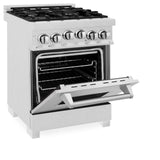 ZLINE 24 in. 2.8 cu. ft. Range with Gas Stove and Gas Oven in DuraSnow Stainless Steel (RGS-SN-24) [Color: Blue Matte]