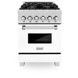 ZLINE 24 in. Professional Dual Fuel Range in DuraSnow Stainless Steel with Color Door Options (RAS-SN-24) [Color: Blue Gloss]