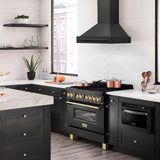 ZLINE Black Stainless Steel Range Hood with Black Stainless Steel Handle and Size Options(BS655-BS)