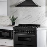 ZLINE 36 in. Black Stainless 4.6 cu.ft. 6 Gas Burner/Electric Oven Range (RAB-36)