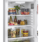 9.8 Cu. Ft. Top Freezer Refrigerator